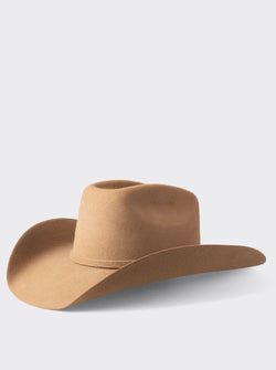 Color – Camel