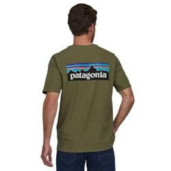 Color – Wyoming Green
