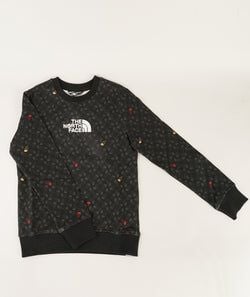 THE NORTH FACE B DREW PEAK