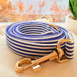 Design – Blue Stripes