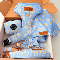 Design – Marigold Bloom