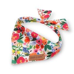 Morning Floral