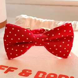 Red Polka Dot