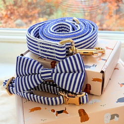 Design – Blue Stripes