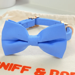 Design – Baby Blue