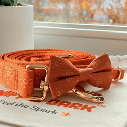 Design – Ambar Suns