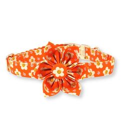 Tangerine Dreams