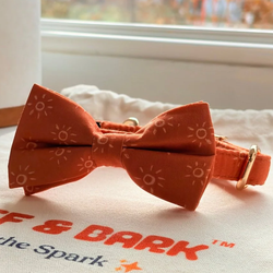 Design – Ambar Suns