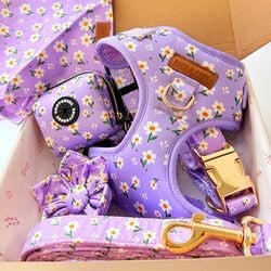 Design – Purple Daisy