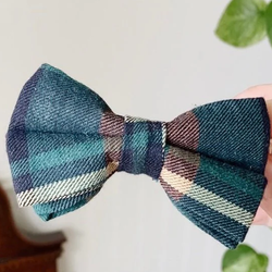 Design – Gentleman
