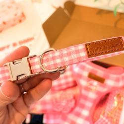 Design – Pink Gingham