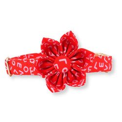 Love Letters
