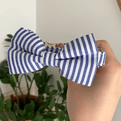 Design – Blue Stripes