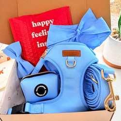 Design – Baby Blue