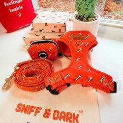 Design – Coral Fetch