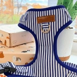 Design – Blue Stripes