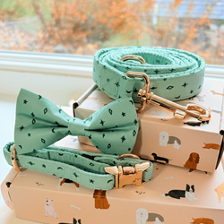 Design – Teal Stars