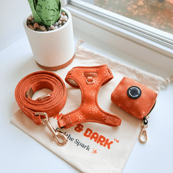 Design – Ambar Suns