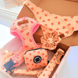 Design – Peach Blush