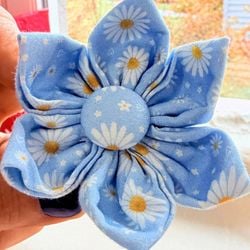 Design – Sunny Daisy