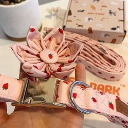 Design – Rosie Strawberry