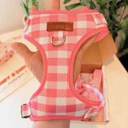 Design – Pink Gingham