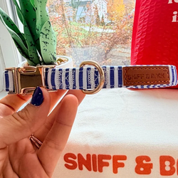 Design – Blue Stripes
