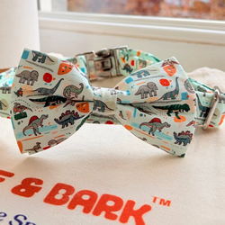 Design – Mint Snappy Dino