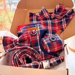 Crimson Navy Plaid