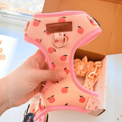 Design – Peach Blush