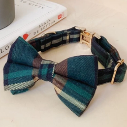 Design – Gentleman