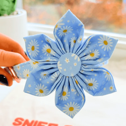 Design – Marigold Bloom