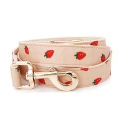 Design – Rosie Strawberry