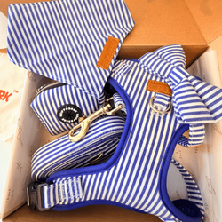 Design – Blue Stripes