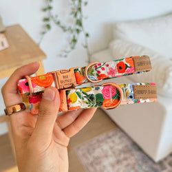 Design – Morning Floral
