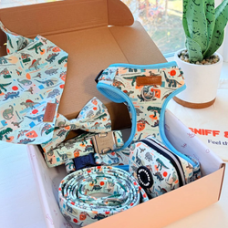 Design – Mint Snappy Dino