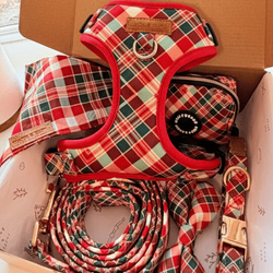 Design – Garent Plaid