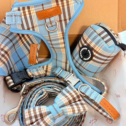 Design – Blue Teddy Plaid