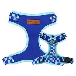 Checker Blue