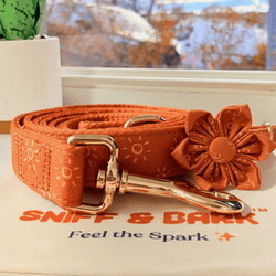 Design – Ambar Suns