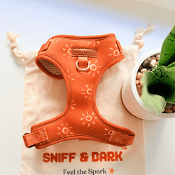 Design – Ambar Suns
