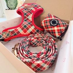 Design – Garent Plaid