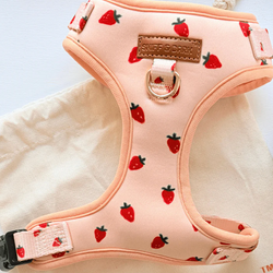 Design – Rosie Strawberry
