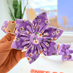 Design – Purple Daisy