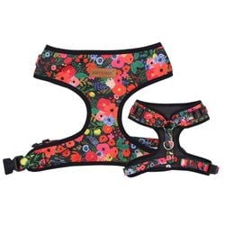 Midnight Floral