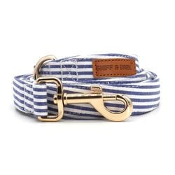 Blue Stripes