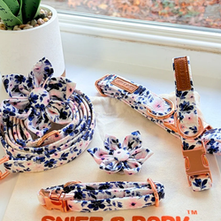 Design – Ivy