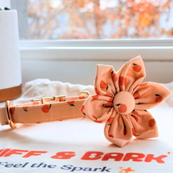 Design – Peach Blush