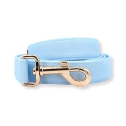 Baby Blue