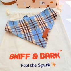 Design – Blue Teddy Plaid